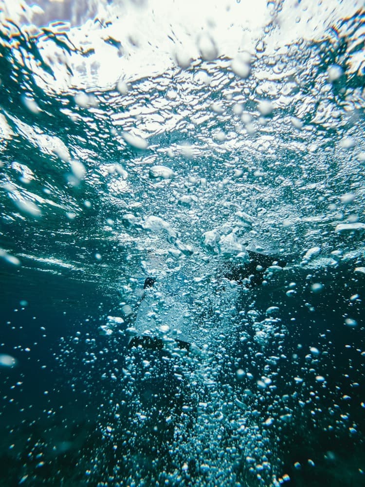 Start Up 50 ml – Ocean Tech