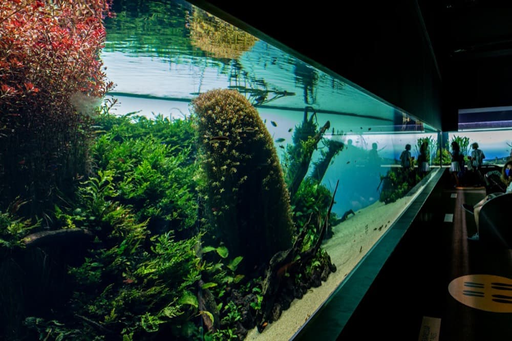 Daily Flakes 10 g – Ocean Tech